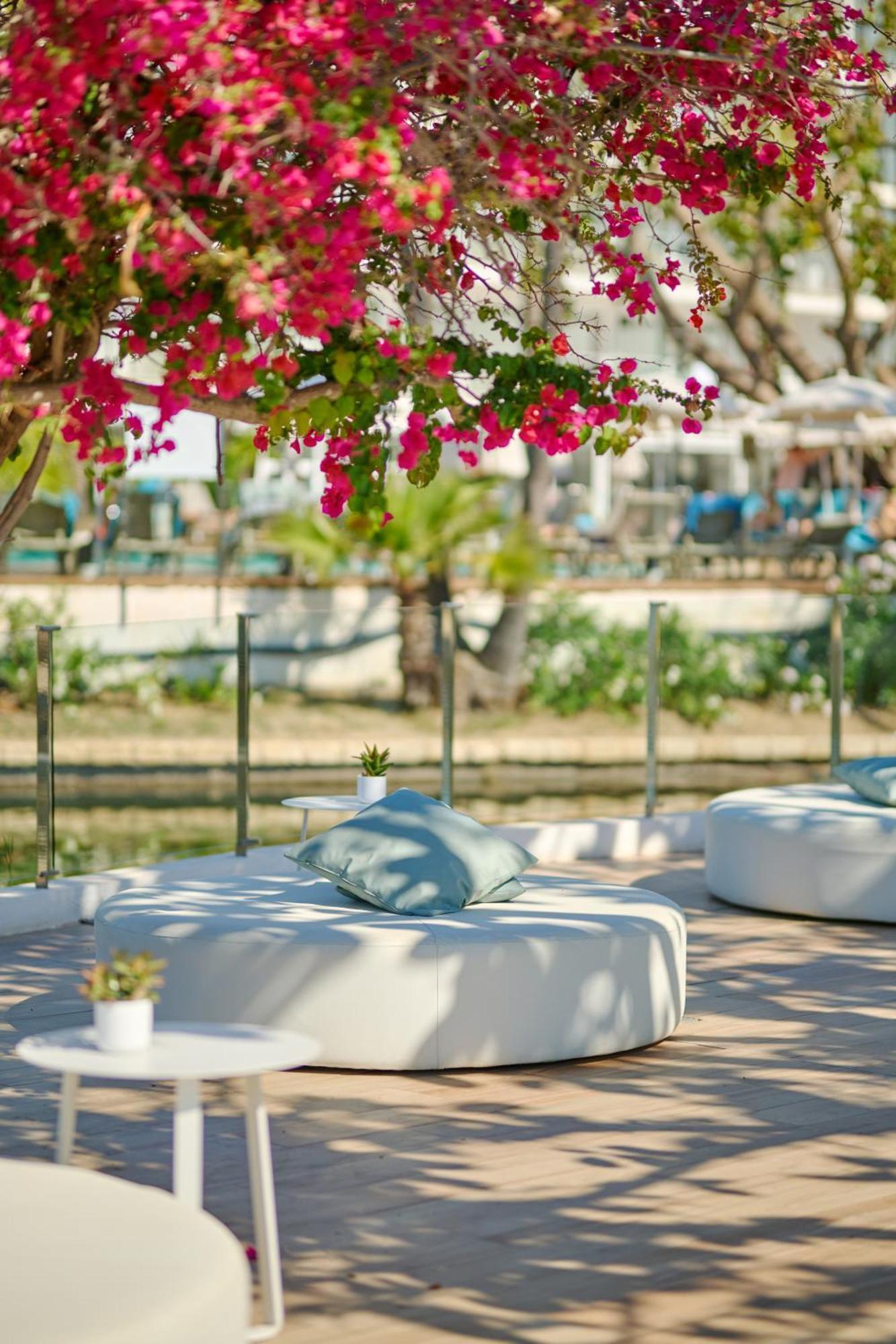 Alua Boccaccio 4* Port de Alcudia (Mallorca)